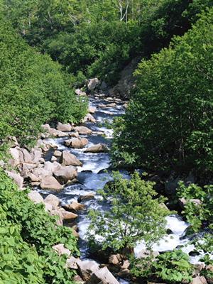 静岡市中心部に位置する「ガーデンホテル静岡」の魅力と特徴