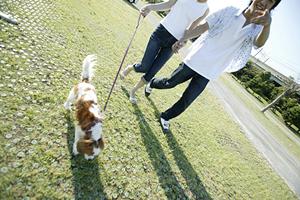 2025年最新版：新宿の映画館徹底ガイド｜アクセス・最新設備・割引情報を網羅