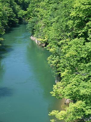 汐留駅徒歩1分!快適な滞在と便利なアクセスを誇るホテル ヴィラフォンテーヌ グランド東京汐留の魅力